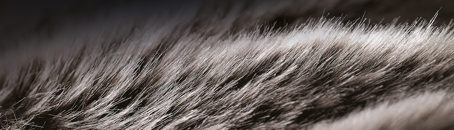 DB_Slider_1500x520_Polarskin